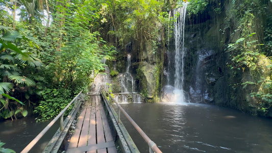 Virtual Walk - Burgers' Zoo - The Netherlands