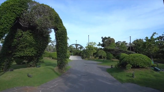 Virtual Walk – Tropical Gardens, Singapore